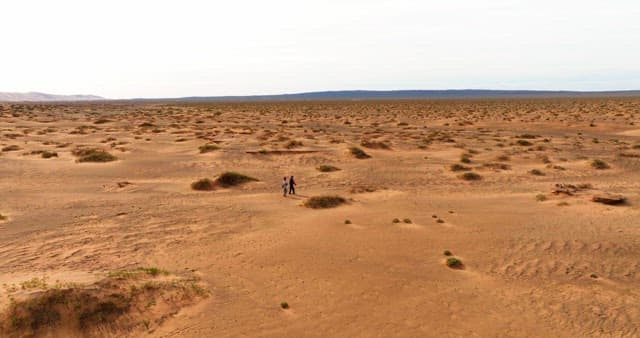 Two people walking in a vast desert