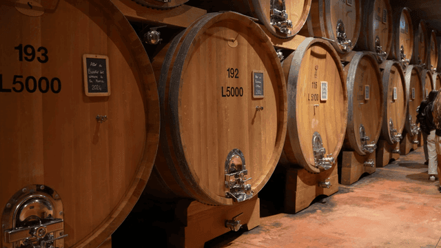 Large wooden barrels in a wine cellar