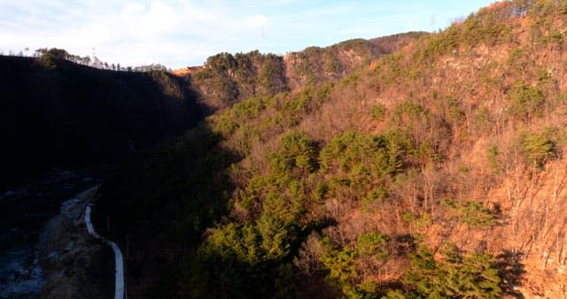 나무가 많은 산간 지방 전망
