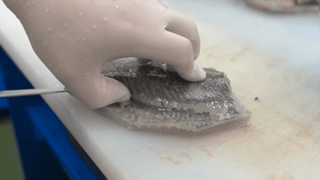 도마 위에서 생선 손질