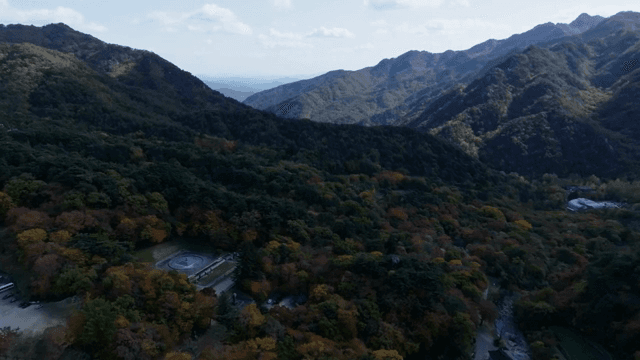 가을 단풍이 든 광활한 산 풍경