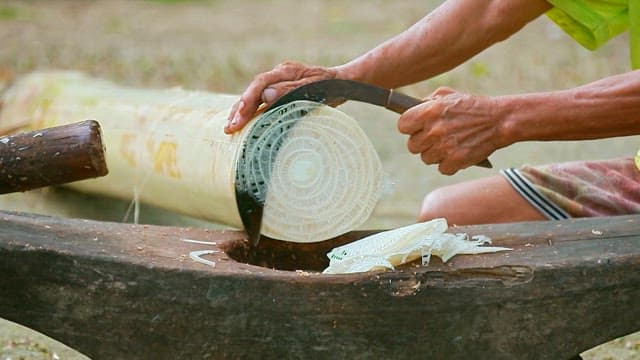 야외에서낫으로 죽순을 손질하는 사람