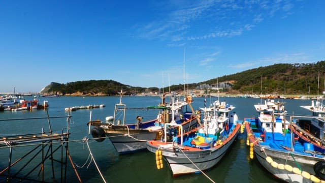 Boats docked at the harbor on a sunny day