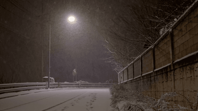 밤에 가로등 아래 눈 덮인 거리