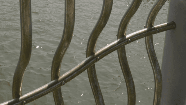 반짝이는 물 표면 옆의 금속 난간