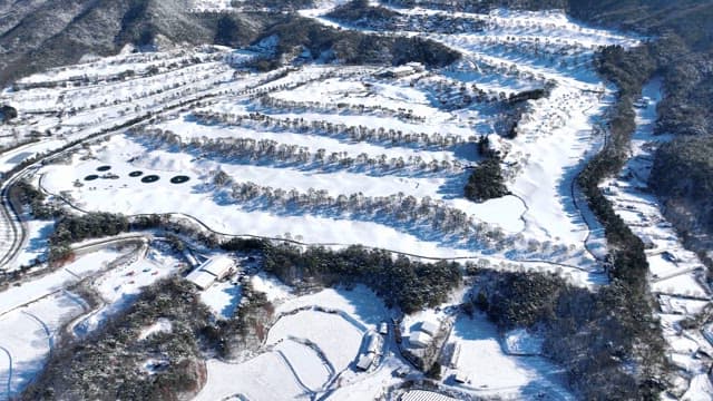 눈 덮인 산과 나무가 있는 풍경