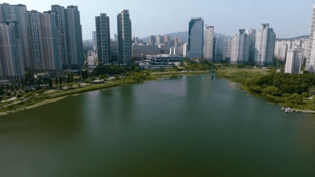 고층 건물과 호수가 있는 도시 풍경