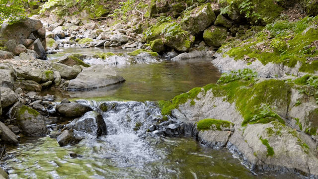 바위 사이로 흐르는 고요한 시냇물