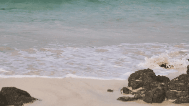 Waves gently crashing on a sandy beach