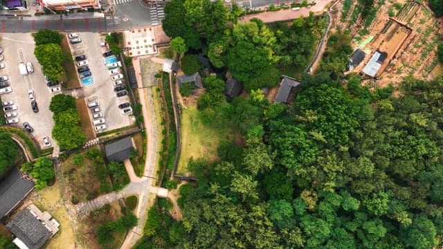 푸른 나무로 둘러싸인 한국 전통 가옥