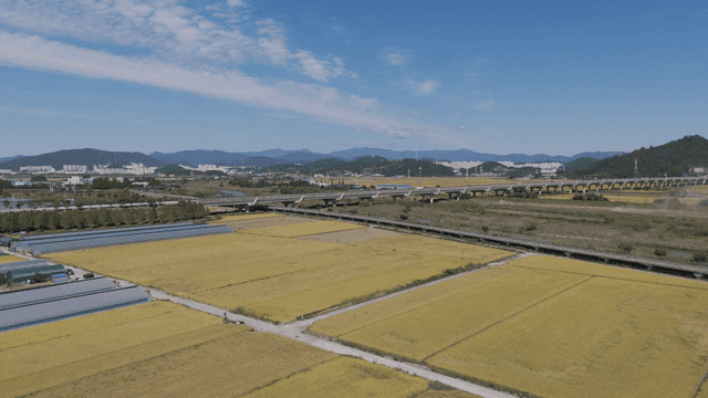 Expansive farmland with city in the distance
