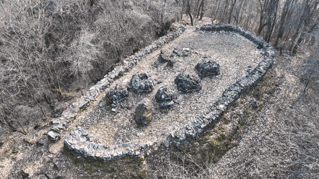 Pile of stones in forest
