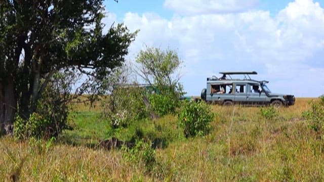 Safari vehicle touring in grassland