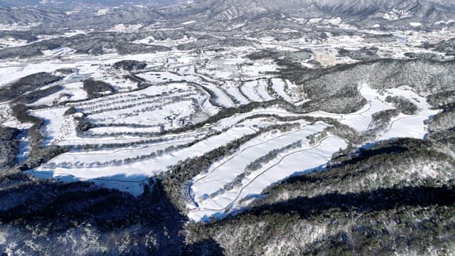 Winter Landscape with Snow-Covered Trees