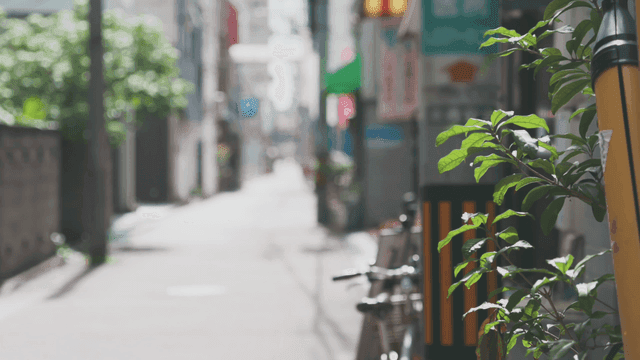 햇살이 비치는 자전거가 다니는 일본 골목길