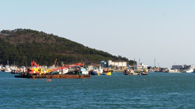 Vibrant harbor scene with boats on a sunny day