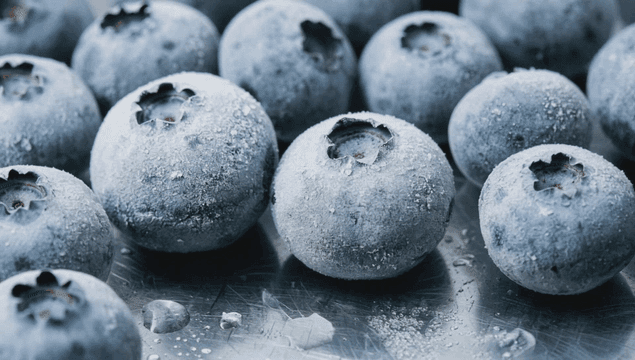 금속 표면 위의 냉동 블루베리