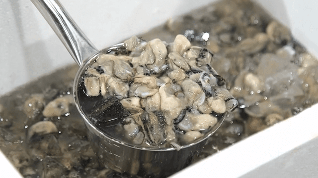 국자에 담긴 신선한 생굴