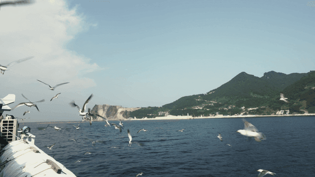 Seagulls flying over the ocean near a mountain