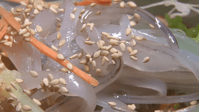 신선한 채소와 오징어회