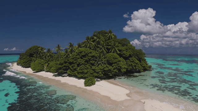 Tropical island covered in lush green vegetation