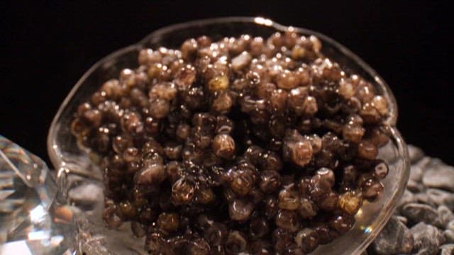 반짝이는 보석과 바다의 고급 식재료 캐비어