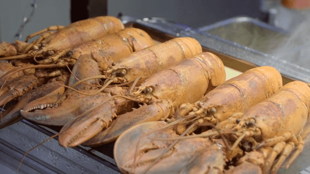 쟁반 위에 갓 요리된 바닷가재