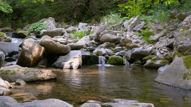 바위 위로 흐르는 고요한 시냇물