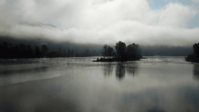 Foggy lake and trees