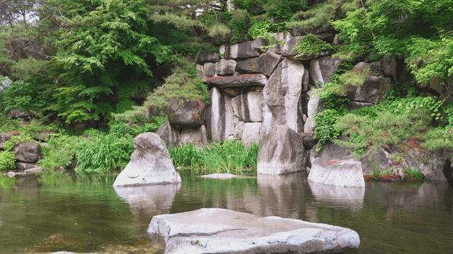 울창한 숲속의 고요한 시냇물