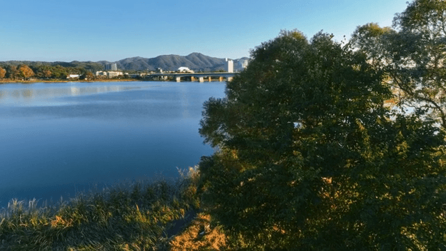 푸른 나무가 보이는 고요한 호수