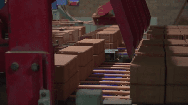 Bricks moving on a conveyor belt