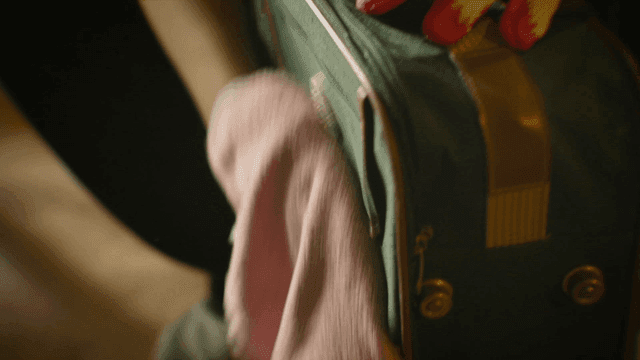 Person wiping carrier with towel