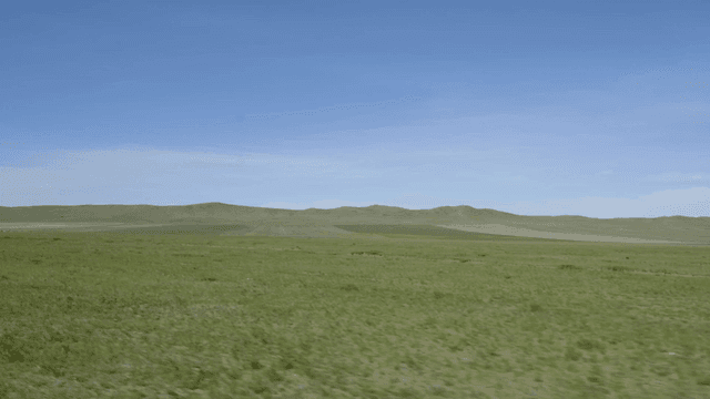 Wide, stretching green meadow