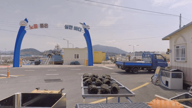 Seaweed drying at a coastal port