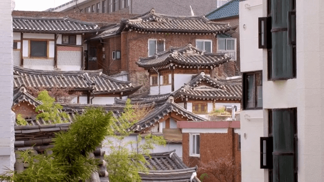 주택 지역 속 전통 한옥