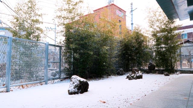 눈 덮인 도시의 뒷마당