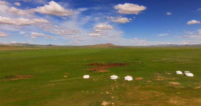 Vast grassland with scattered livestock