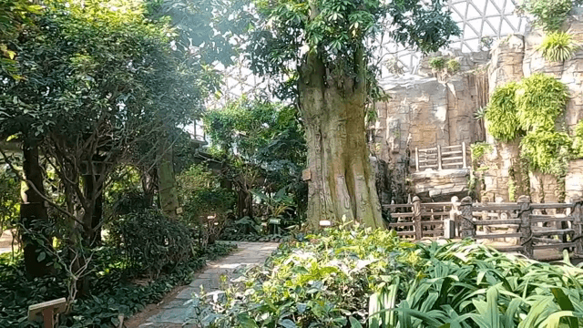 햇빛이 비치는 실내 정원