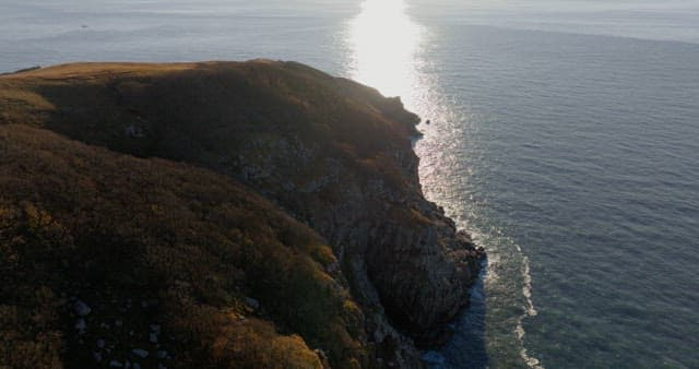 잔잔한 해안선과 물에 비치는 햇빛