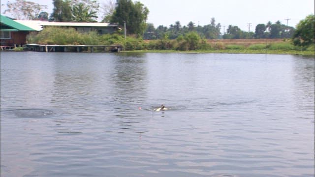 Fishing by the lakeside with a catch