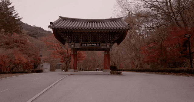 Traditional Korean gate in autumn forest