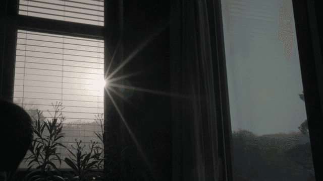 Sunlight streaming through a window