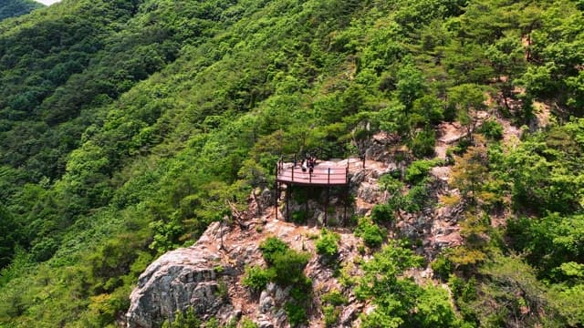 전망대가 있는 푸른 산