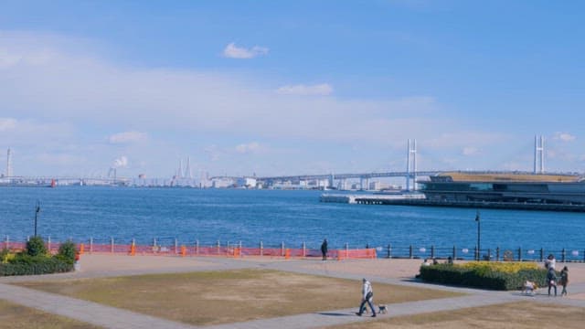 Serene Seaside Park With Bridge and People