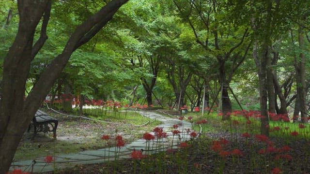 Serene Pathway Through a Lush Green Park