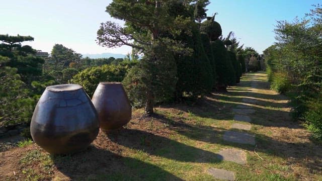 한국 전통 항아리가 늘어선 길
