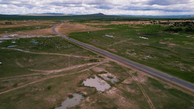 Vast Meadow Landscape with Livestock and Roads