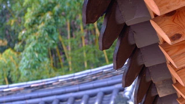 Raindrops fall from a traditional wooden roof of Hanok with bamboo forest in background