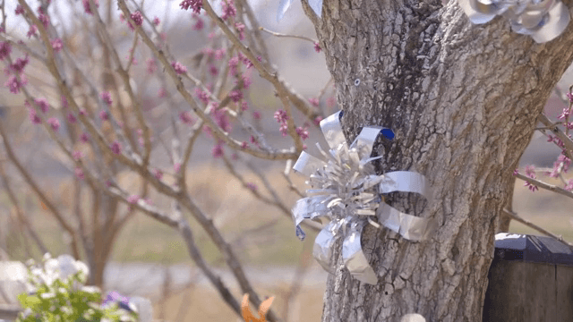 Tree with pink blossoms and decorations
